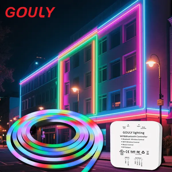 DC12V IP67 SMD5050 WS2811 Smart Control RGB Color-Changing LED Neon Strip